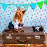 Smart Pet Camera for Safety and Pet Monitoring